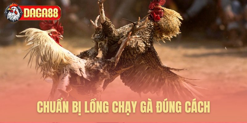 Chuẩn bị lồng chạy gà đúng chuẩn Chuẩn bị lồng chạy gà đúng chuẩn