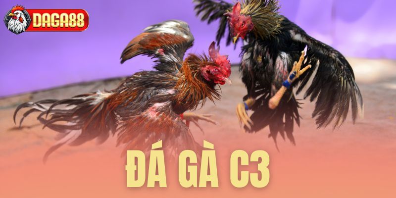 đá gà c3