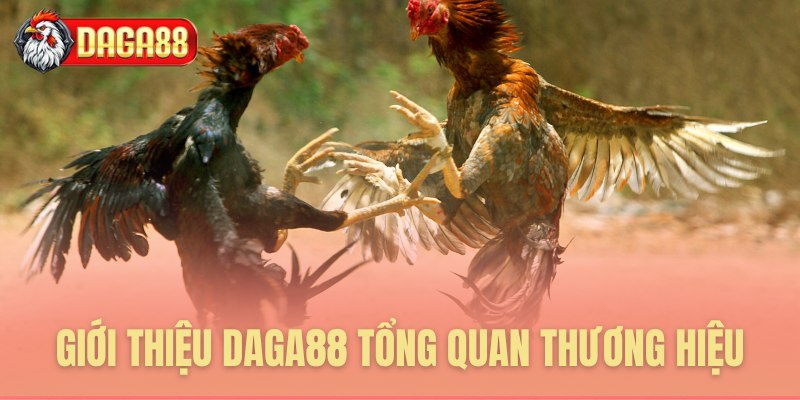 Giới thiệu Daga88: Tổng quan thương hiệu