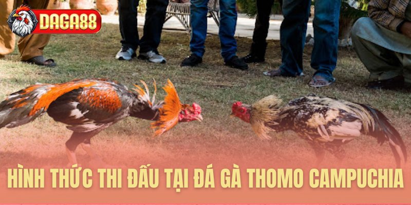 Cơ sở pháp lý hoạt động Thomo Campuchia Cơ sở pháp lý hoạt động Thomo Campuchia