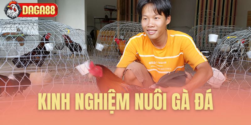 kinh nghiệm nuôi gà đá