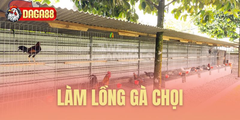 làm lồng gà chọi