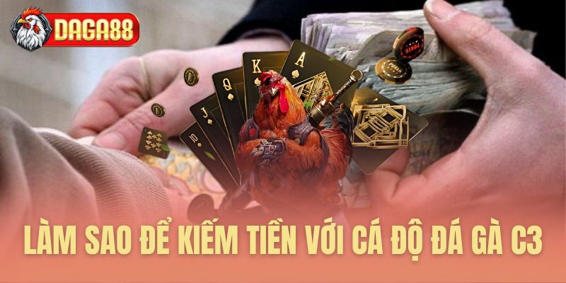 Cách thức thu lợi từ cá độ đá gà C3 Cách thức thu lợi từ cá độ đá gà C3