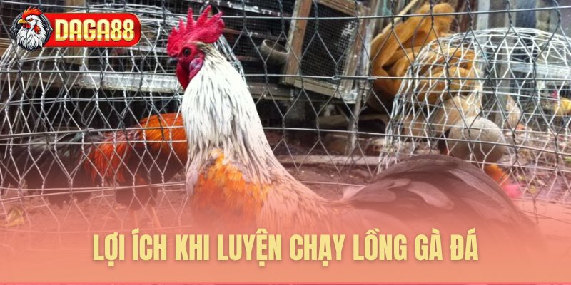 Những lợi ích tuyệt vời của chạy lồng Những lợi ích tuyệt vời của chạy lồng