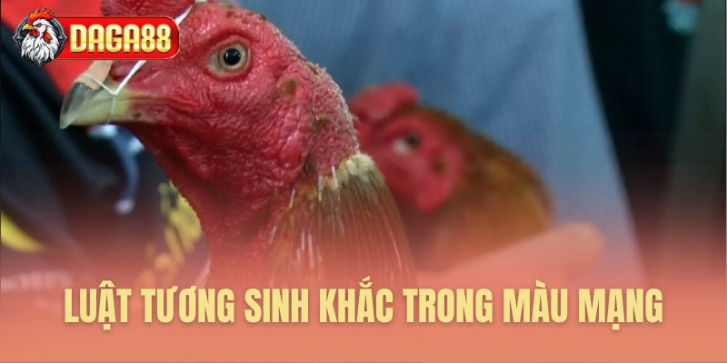 Phân tích ngũ hành sinh khắc màu mạng Phân tích ngũ hành sinh khắc màu mạng