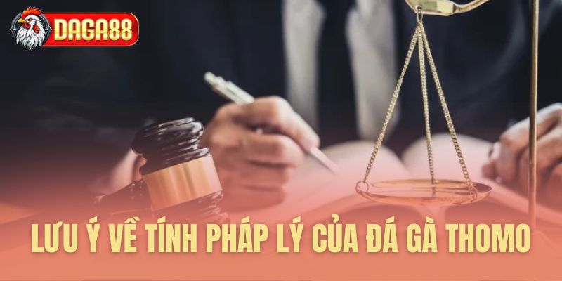 Lưu ý quan trọng tính pháp lý đá gà Lưu ý quan trọng tính pháp lý đá gà