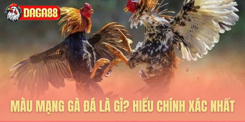 Hiểu đúng bản chất màu mạng chiến kê Hiểu đúng bản chất màu mạng chiến kê