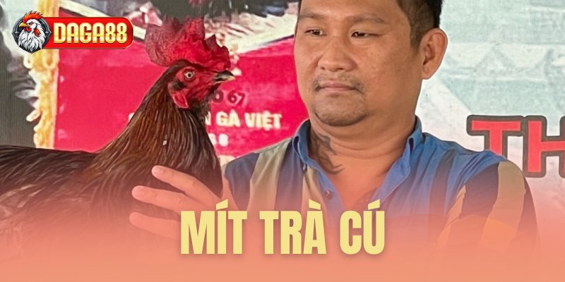 Mít Trà Cú