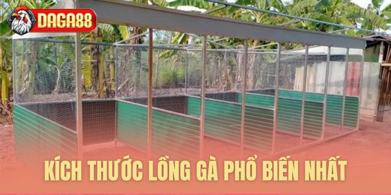Kích thước lồng gà chọi phổ biến Kích thước lồng gà chọi phổ biến