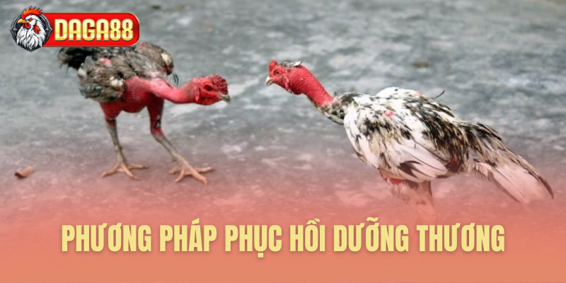Thực đơn dinh dưỡng phục hồi thần tốc Thực đơn dinh dưỡng phục hồi thần tốc