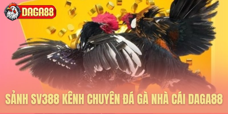 Sảnh cược SV388 chuyên biệt tại Daga88 Sảnh cược SV388 chuyên biệt tại Daga88