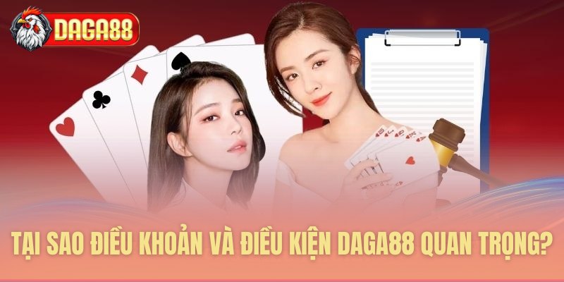 Tại sao điều khoản và điều kiện Daga88 quan trọng?