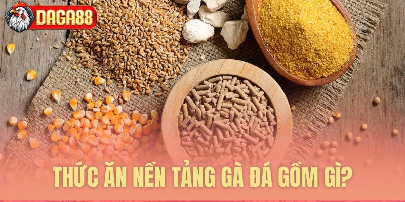 Thành phần thức ăn nền tảng cho gà Thành phần thức ăn nền tảng cho gà