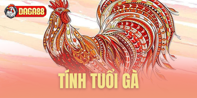 tính tuổi gà