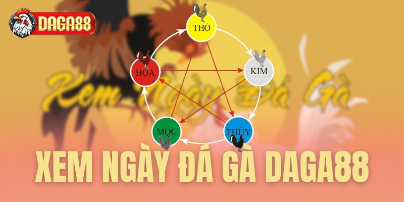 xem ngày đá gà daga88