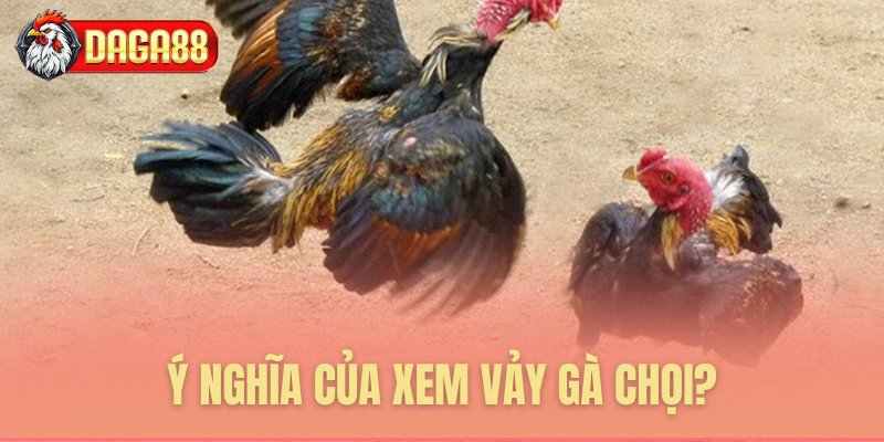 Ý nghĩa của xem vảy gà chọi? Ý nghĩa của xem vảy gà chọi?